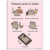 RRP £200 Brand New Assorted Frame Artworks Including- Pusheens Guide To Selfies