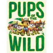 RRP £200 Brand New Canvases Including Paw Patrol Pups Of The Wild