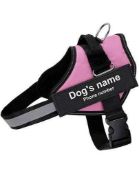 RRP £150 Like New Assorted Items Including Carlos Diaz Leather Dog Harness