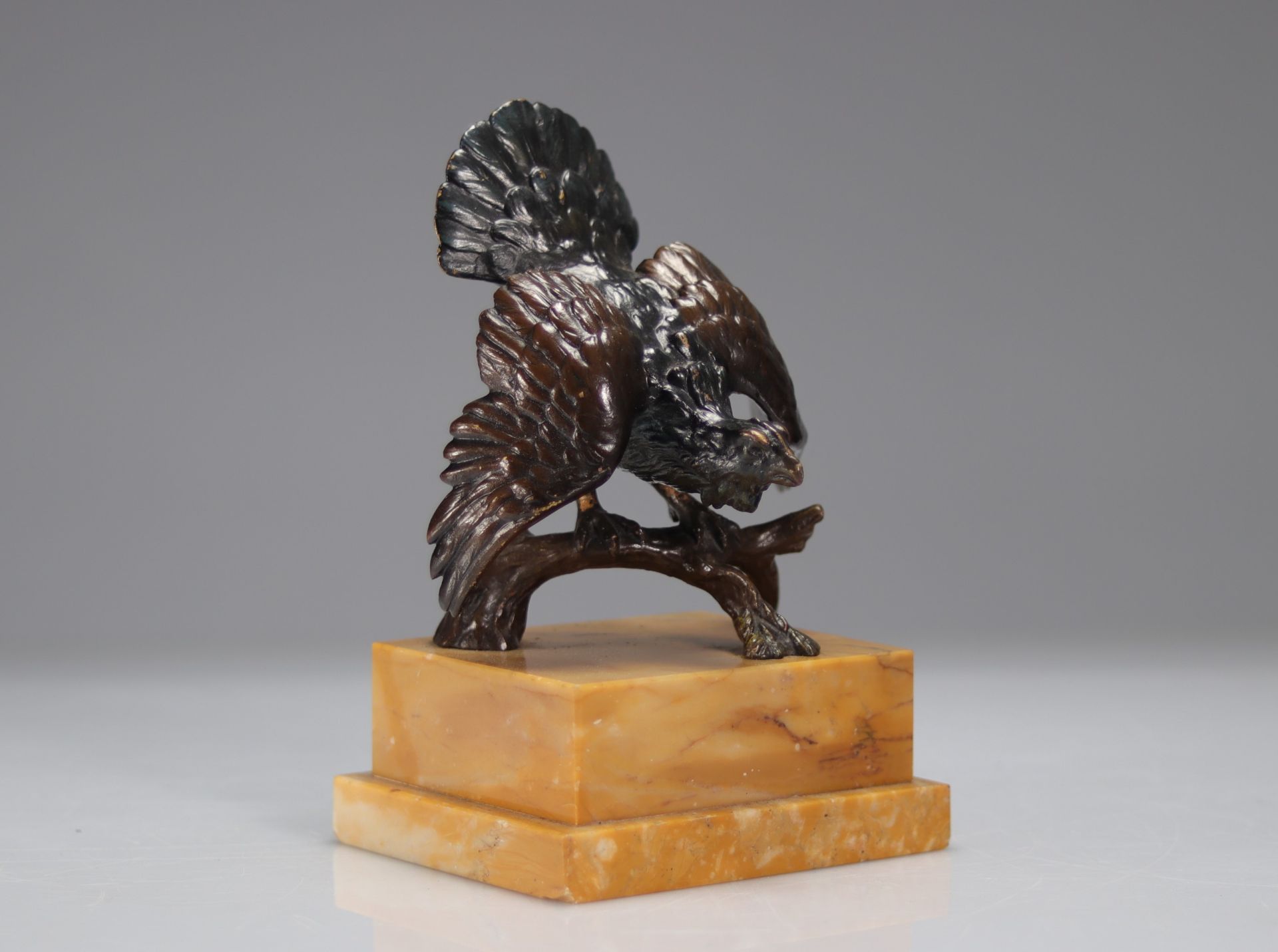 Polychrome bronze "capercaillie" Vienna