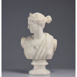 Bust of a young woman in white marble