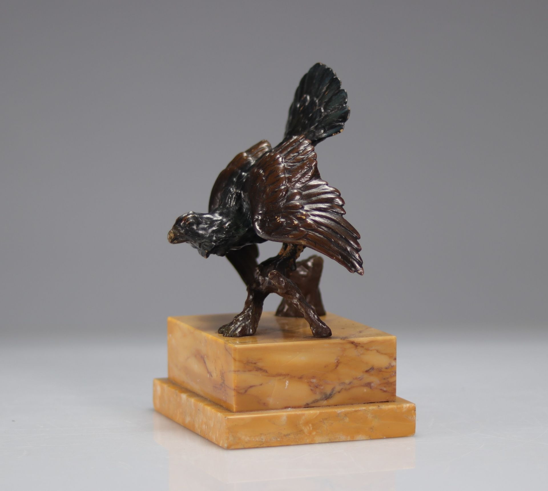 Polychrome bronze "capercaillie" Vienna - Bild 2 aus 4