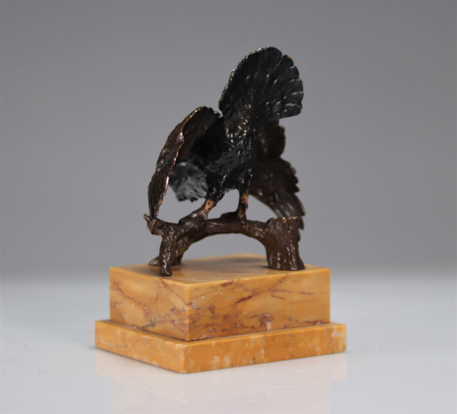 Polychrome bronze "capercaillie" Vienna - Bild 3 aus 4