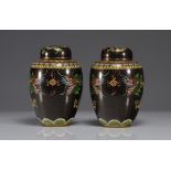 Pair of potiches covered in cloisonne decorated with dragons
