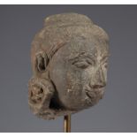 Fragment: Head of Buddha 17th century or earlier