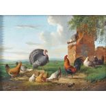 Albertus VERHOESEN (1806-1881) oil on wood "turkey roosters and hens"