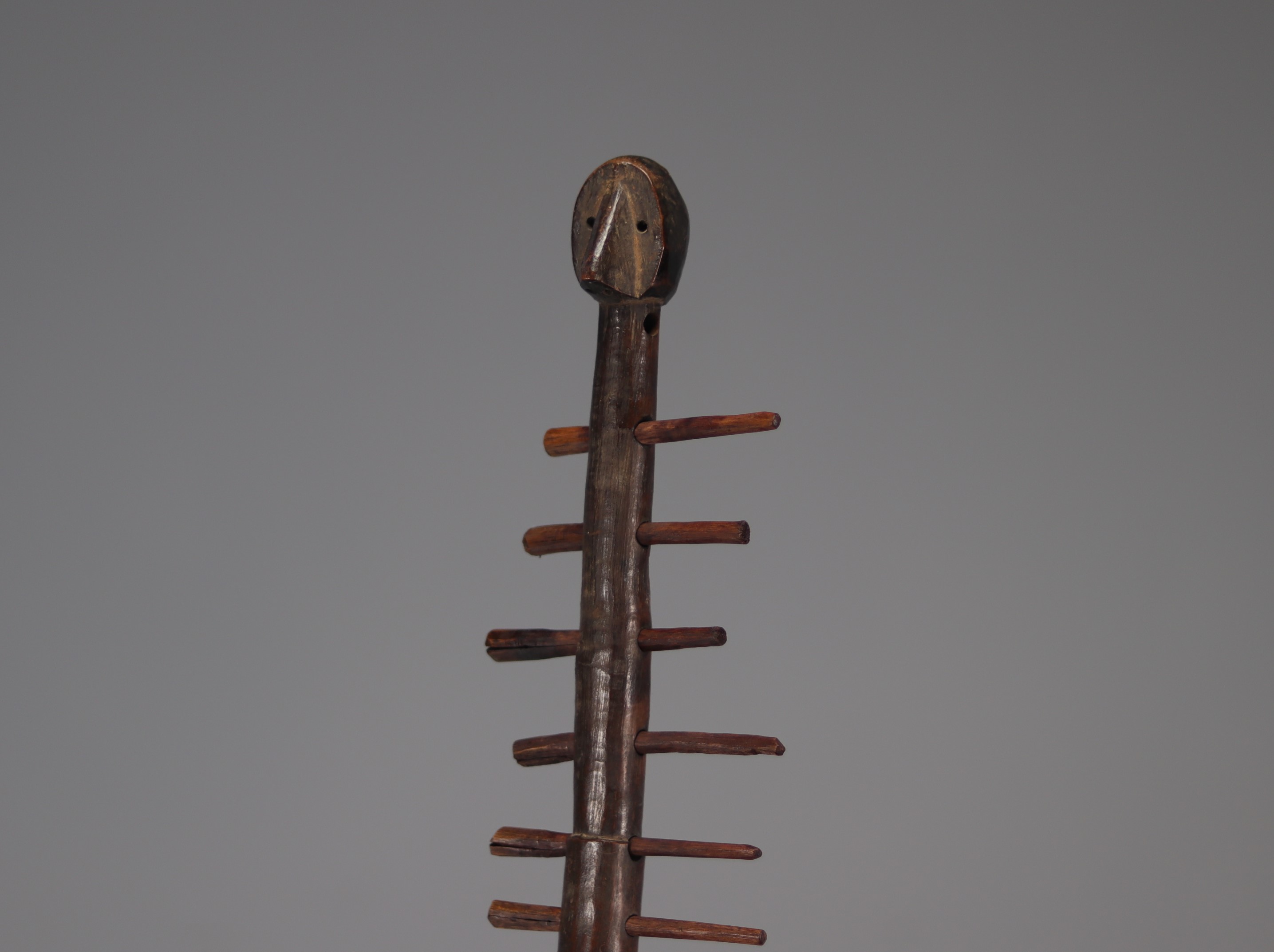 Boa court harp - Zande - Belgian private collection - Dem.Rep.Congo - Image 4 of 4