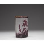 Daum Nancy cameo vase with purple iris decoration