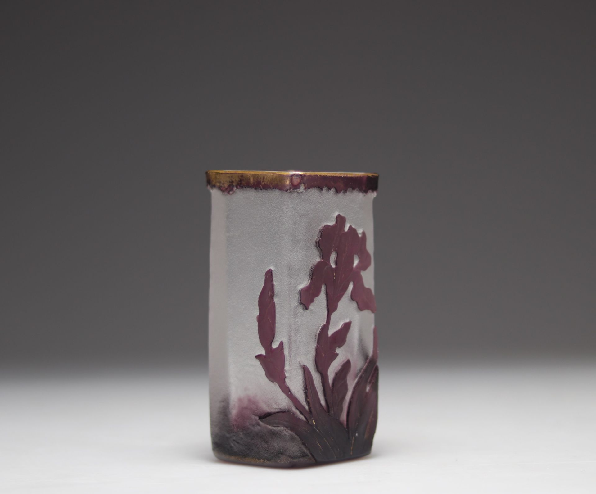 Daum Nancy cameo vase with purple iris decoration