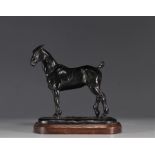 Gaston D'ILLIERS (1876-1932/52) Bronze "The Tondu Cob"