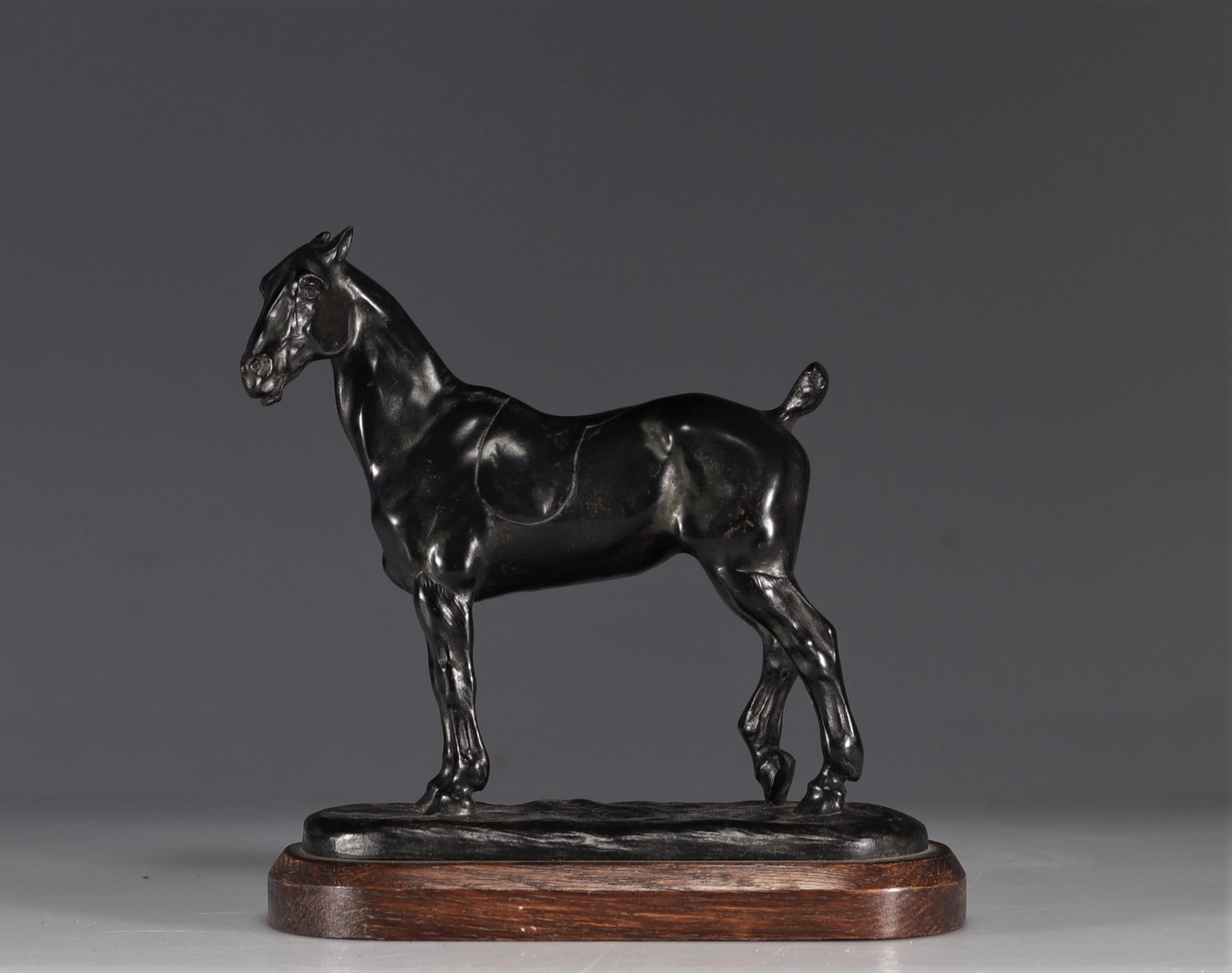 Gaston D'ILLIERS (1876-1932/52) Bronze "The Tondu Cob"