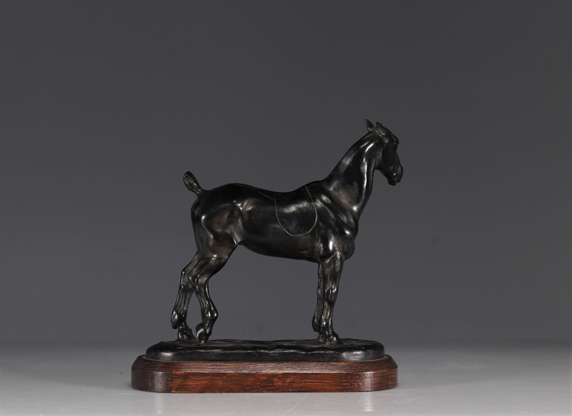 Gaston D'ILLIERS (1876-1932/52) Bronze "The Tondu Cob" - Bild 3 aus 5