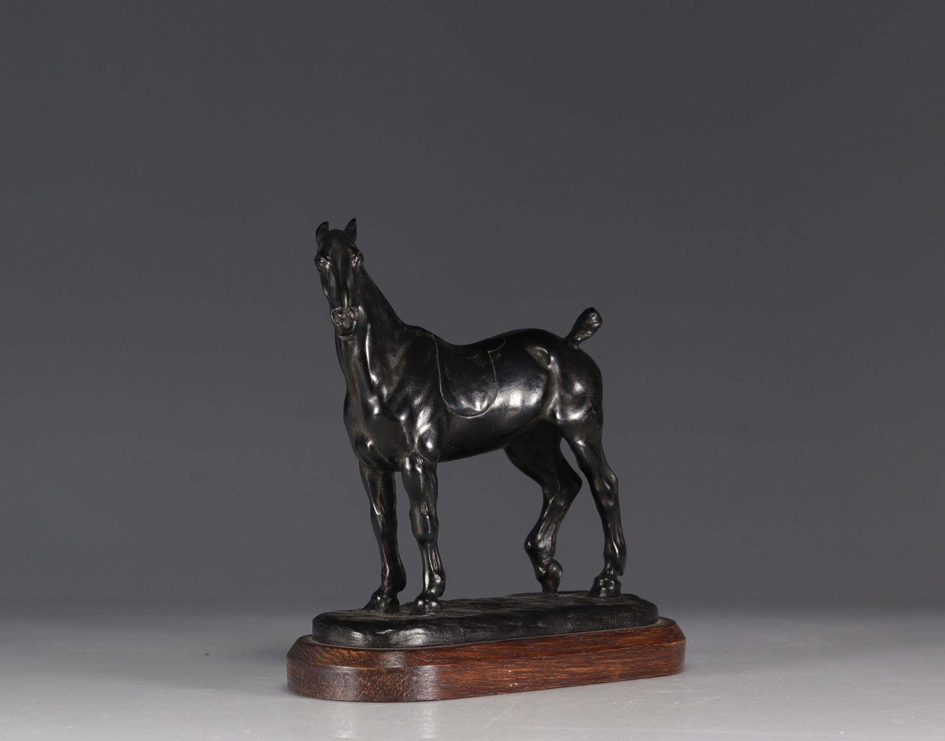 Gaston D'ILLIERS (1876-1932/52) Bronze "The Tondu Cob" - Bild 2 aus 5