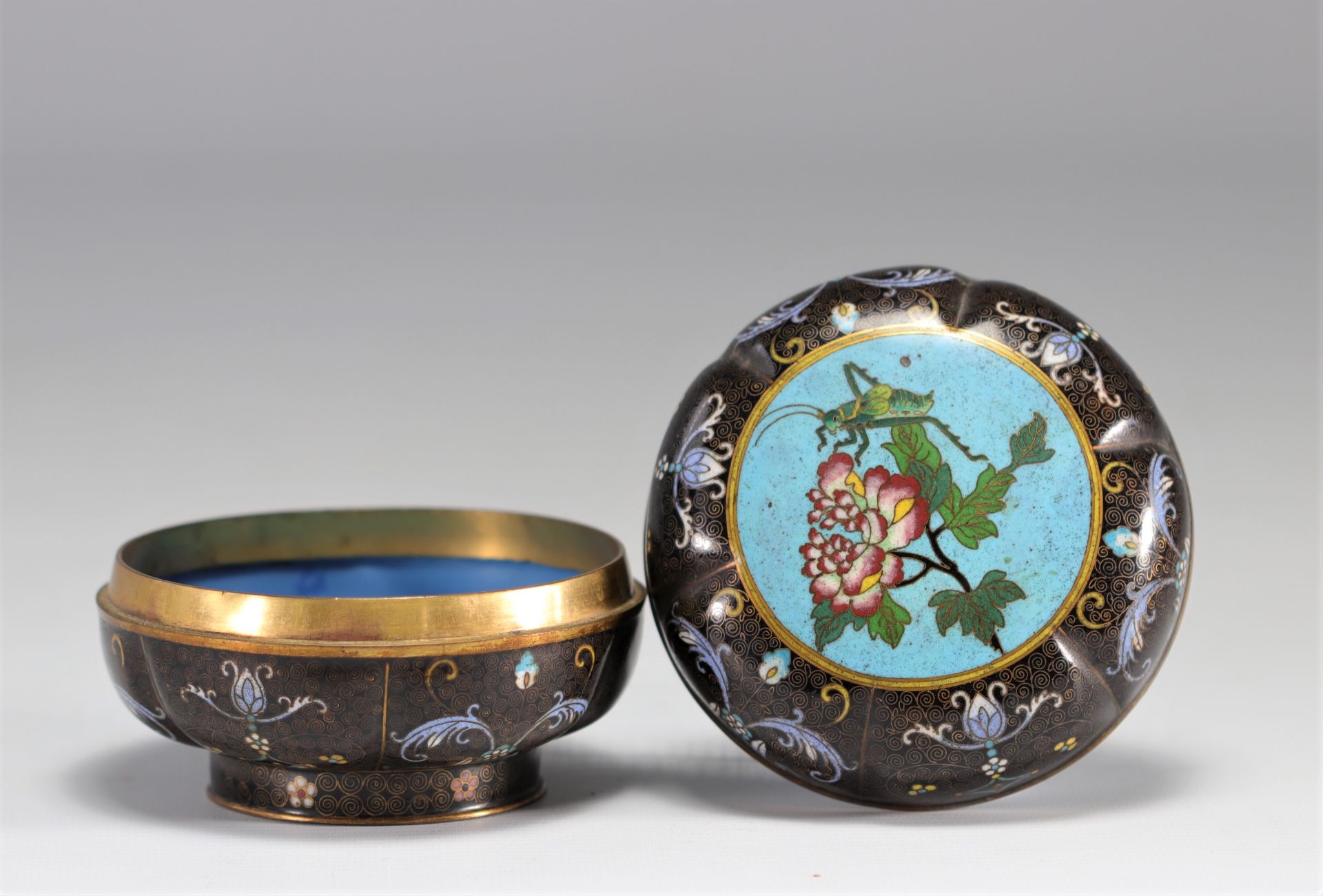 A beautiful cloisonne enamel box decorated with a cricket on a flower from the 19th century from Mei