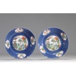 Pair of Kangxi plates decorated with red and blue flowers