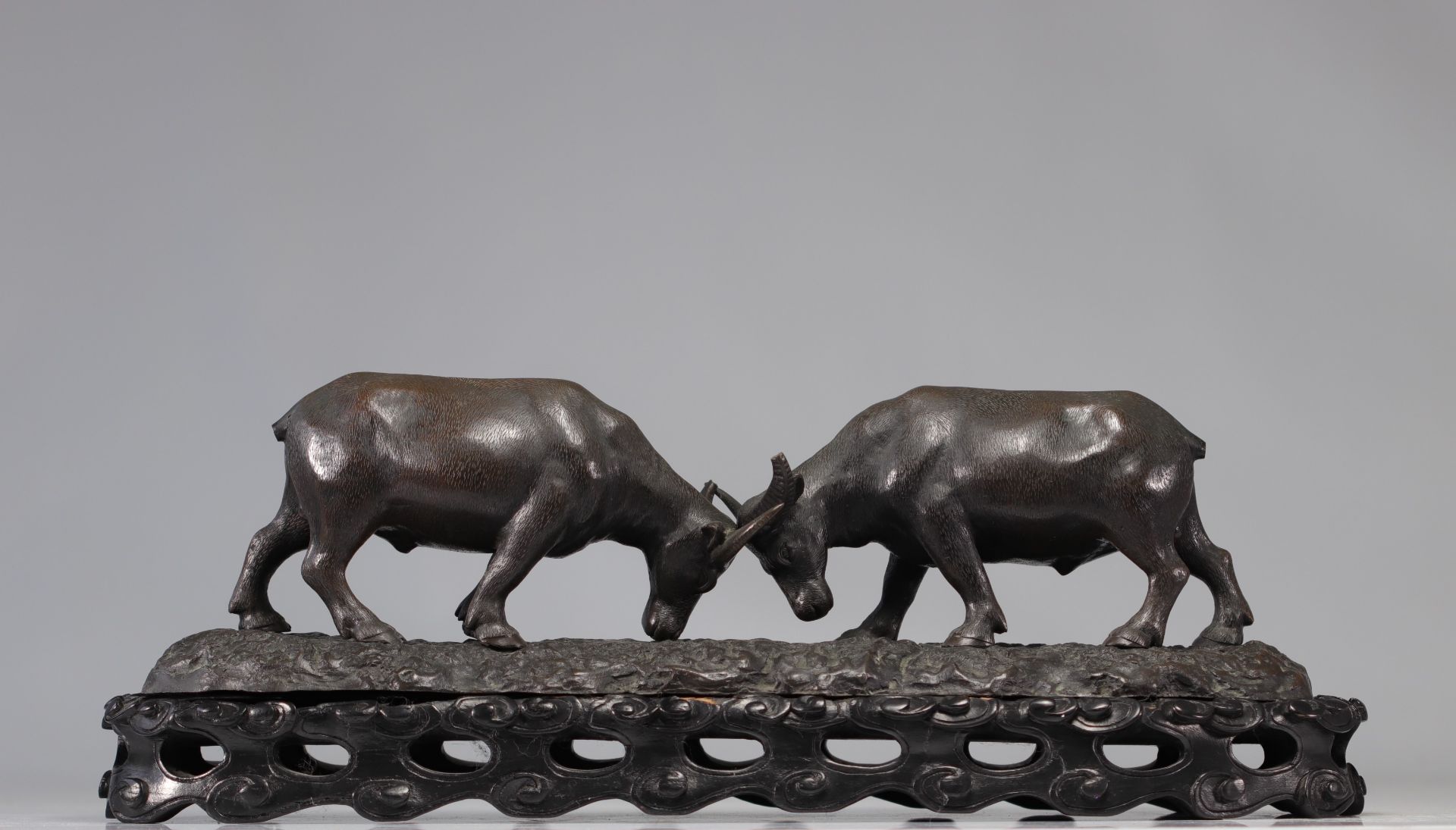 Large Asian bronze "water buffalo fight"