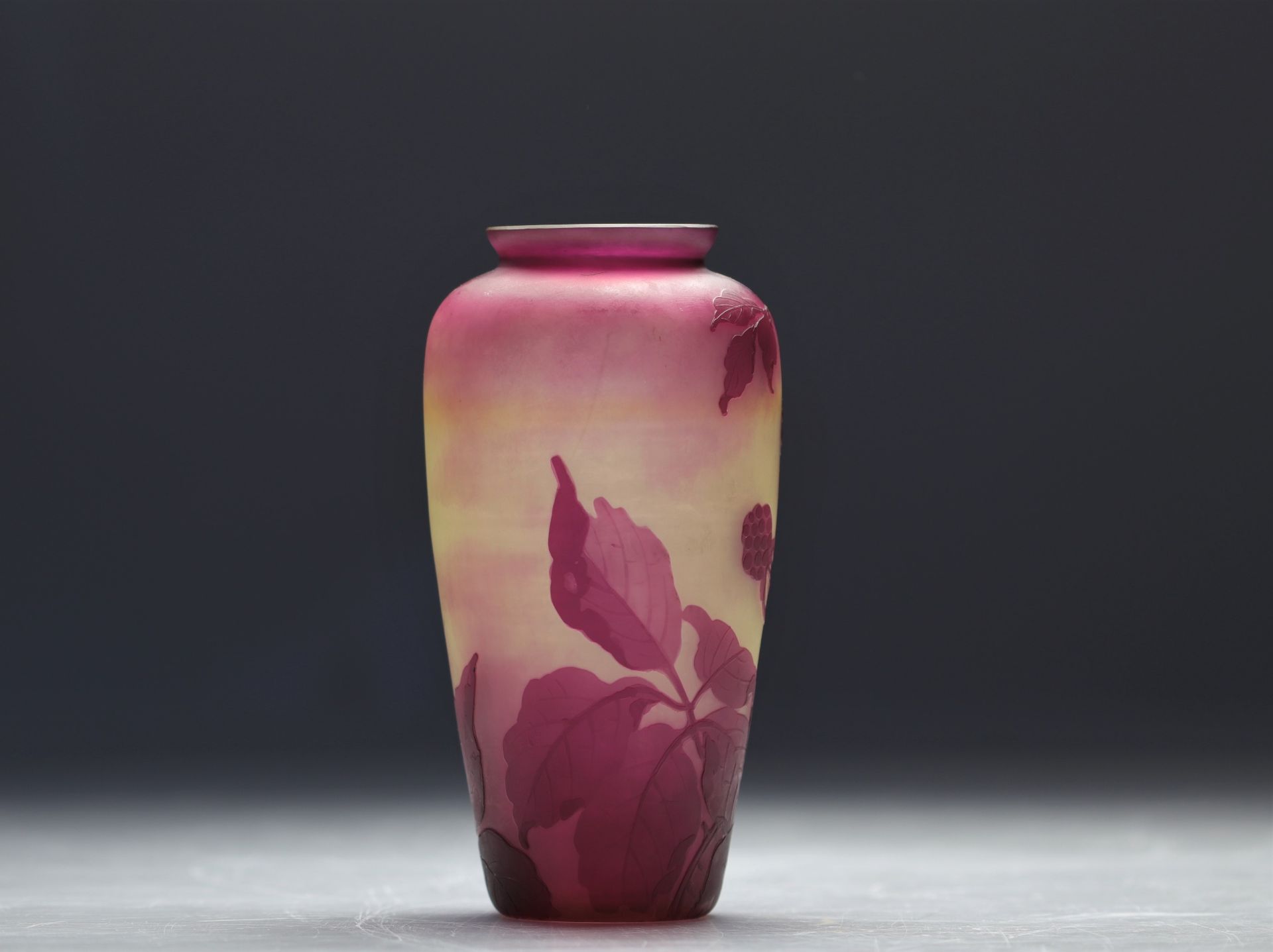 Val Saint Lambert multi-layered vase with mulberry tree design on a mauve background - Bild 2 aus 4
