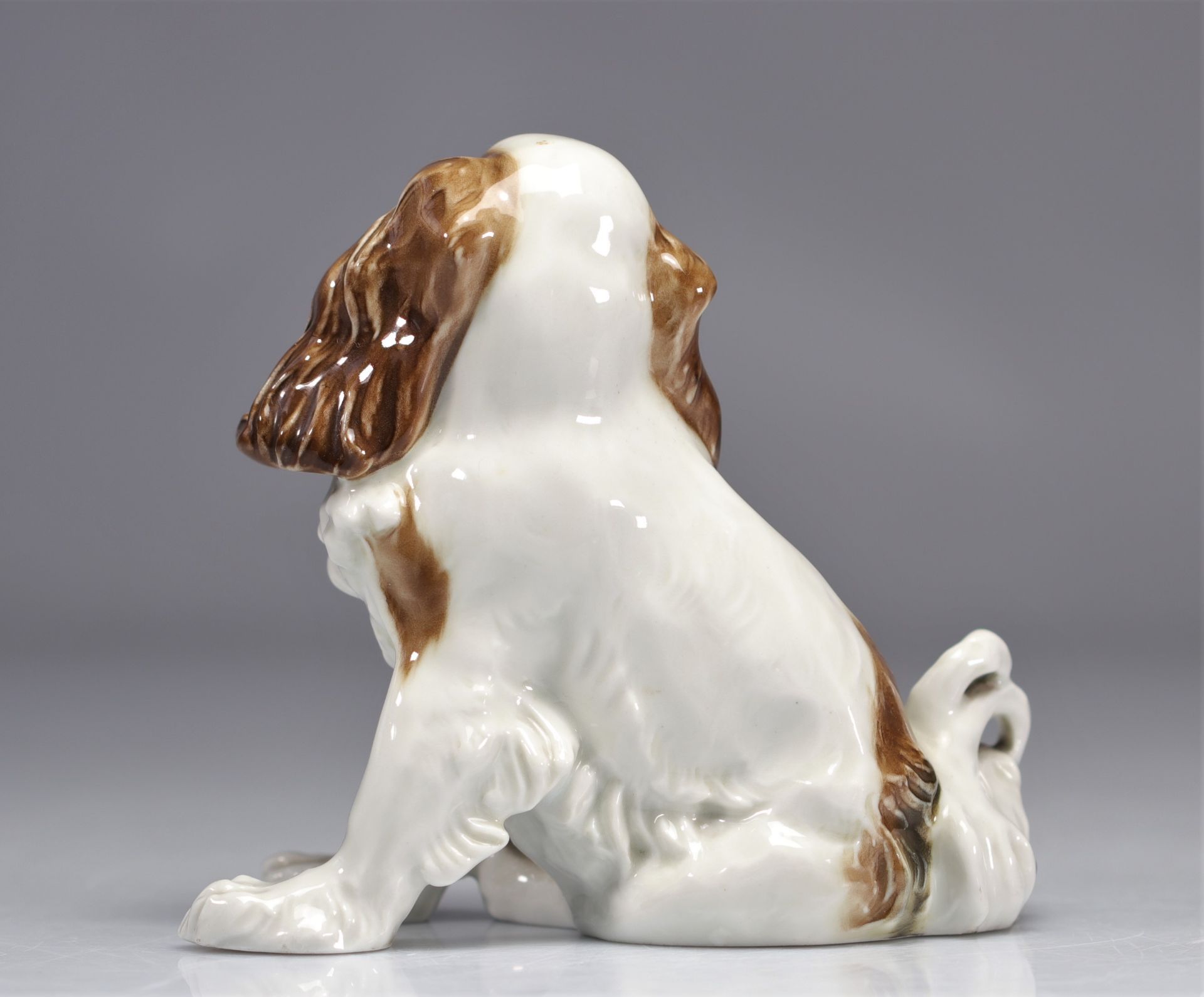 Saxon porcelain Karl ENS - SAXE Cavalier King Charles dog - Bild 3 aus 4