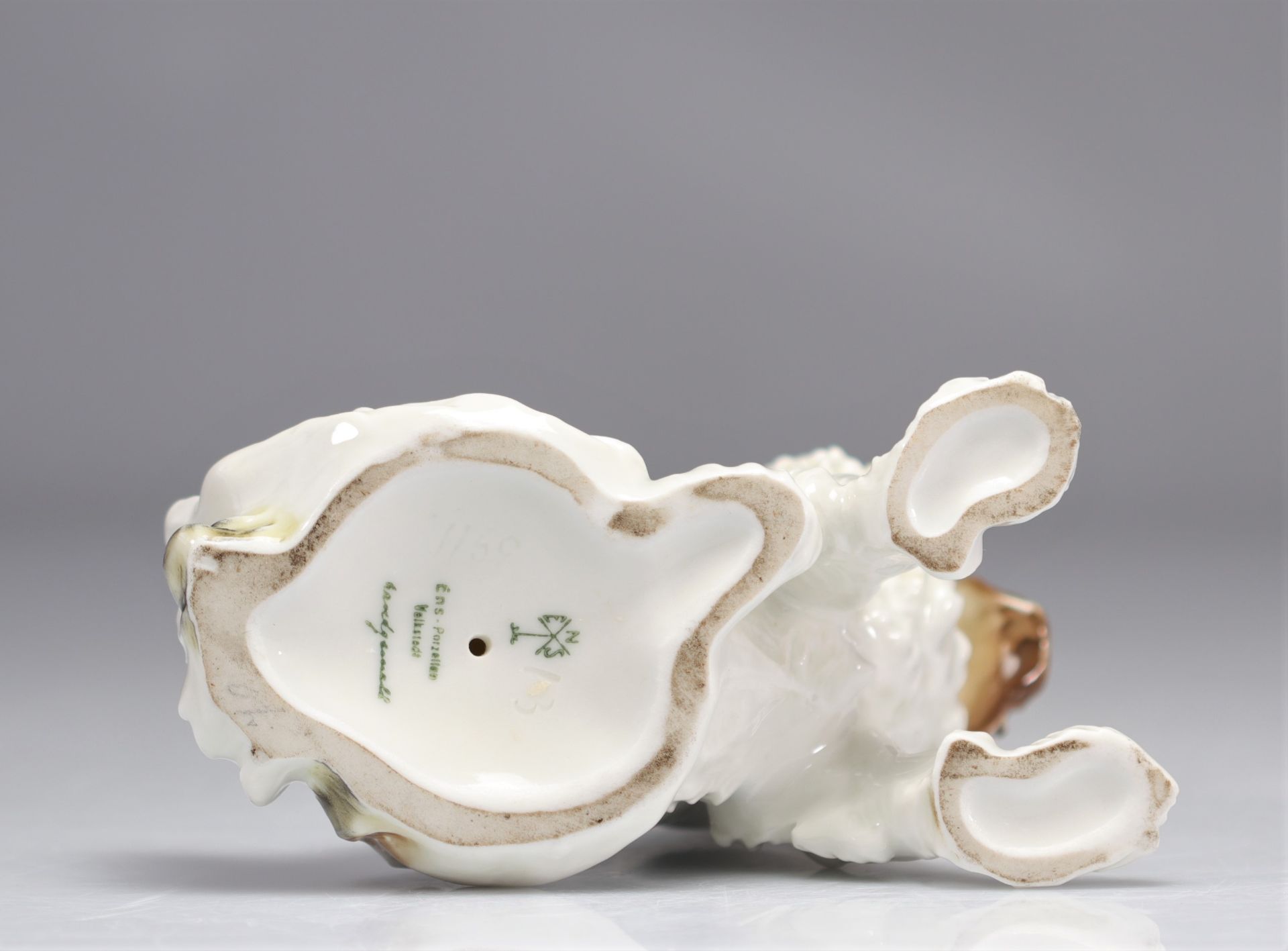 Saxon porcelain Karl ENS - SAXE Cavalier King Charles dog - Bild 4 aus 4