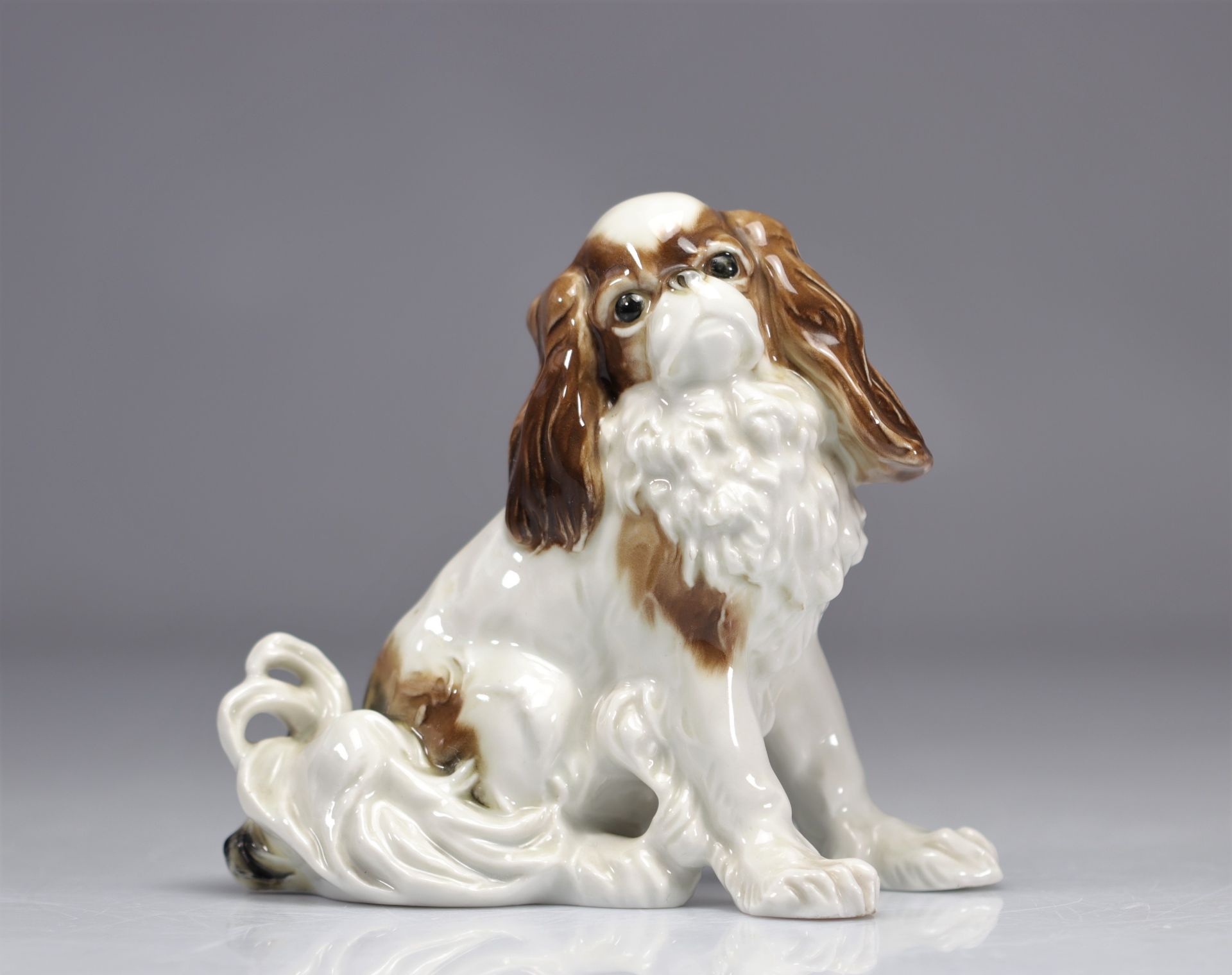 Saxon porcelain Karl ENS - SAXE Cavalier King Charles dog