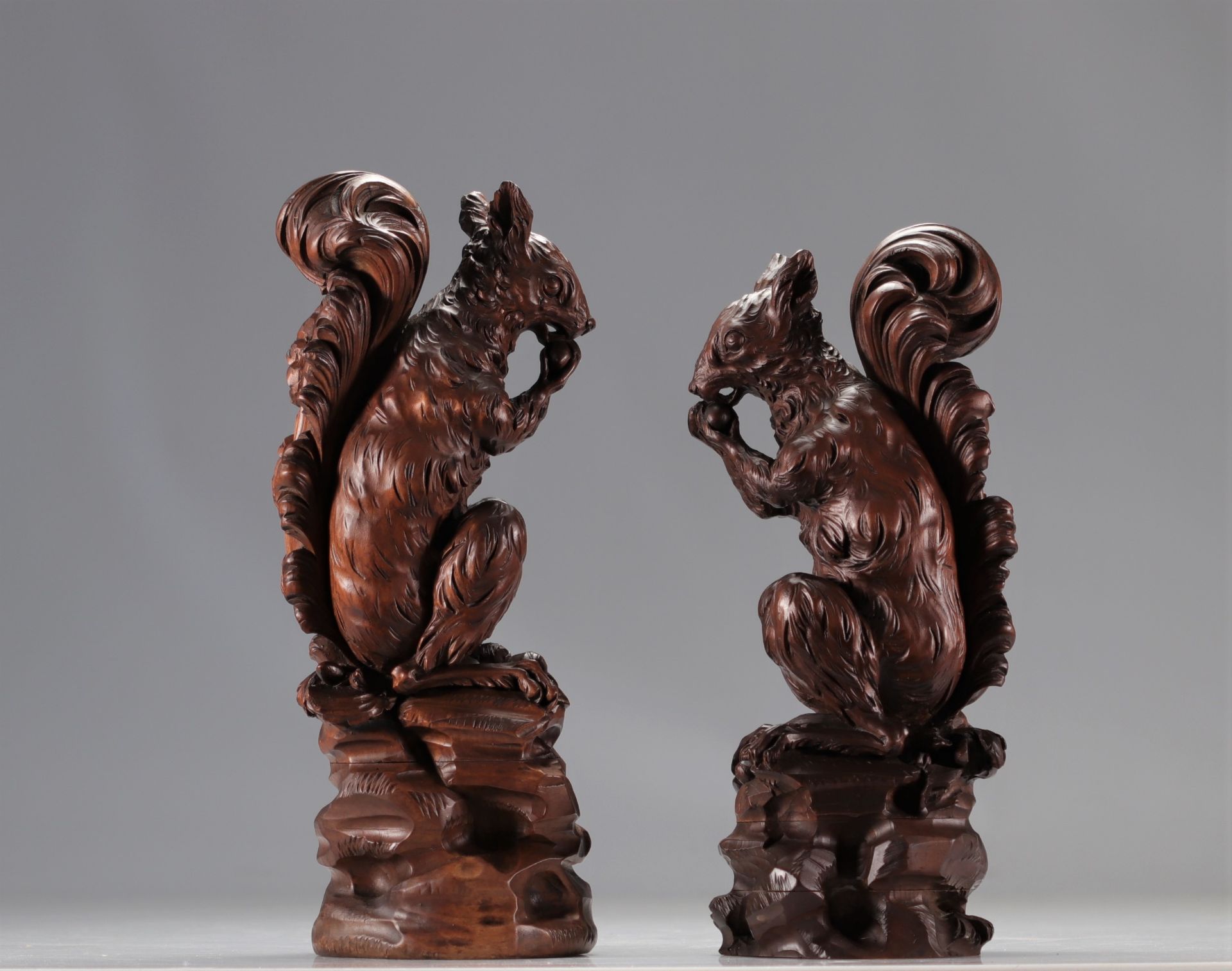 (2) Pair of walnut squirrels, black forest work - Image 5 of 5