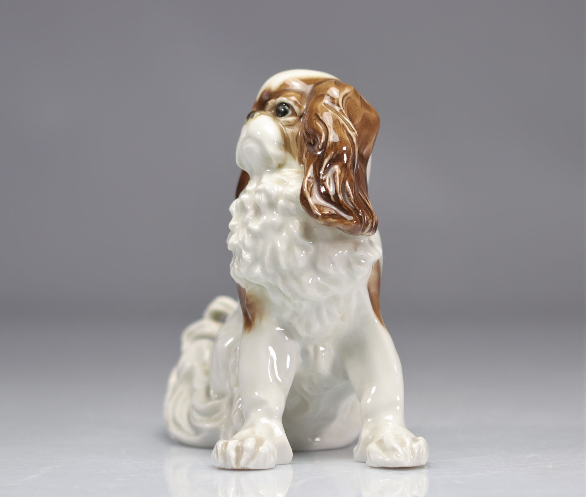 Saxon porcelain Karl ENS - SAXE Cavalier King Charles dog - Bild 2 aus 4