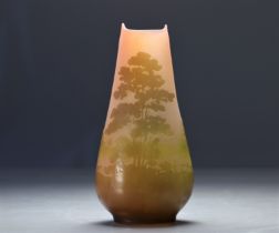 Imposing Galle Emile vase decorated with lakescapes