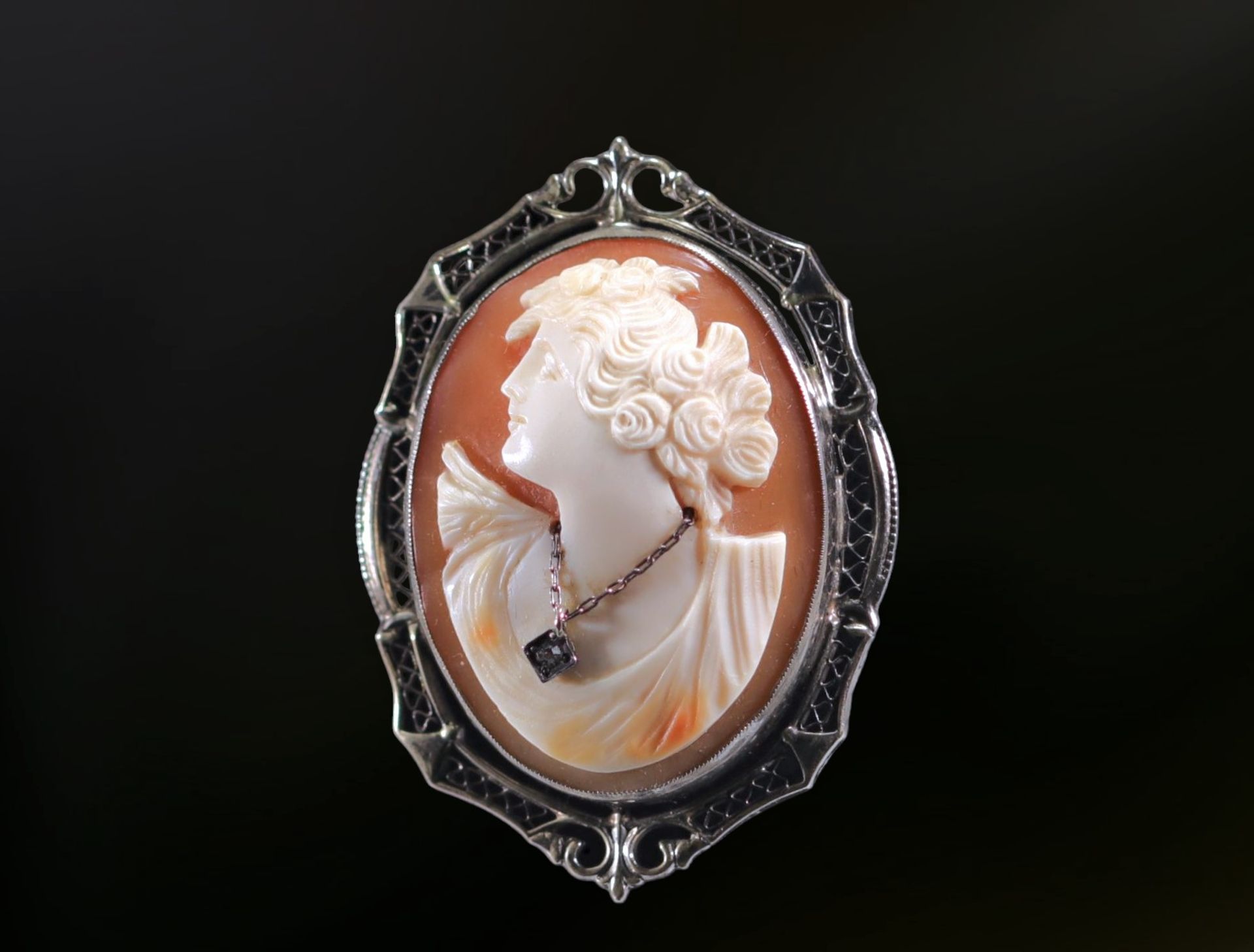 14k white gold brooch set with a cameo representing a woman in profile in bloom, with a genuine diam