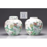 (2) Rare pair of Chinese "doucai" polychrome enamel vases decorated with flowers and butterflies fro