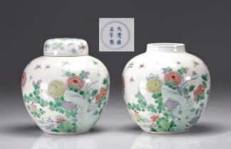 (2) Rare pair of Chinese "doucai" polychrome enamel vases decorated with flowers and butterflies fro