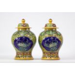 Pair of covered jugs decorated in relief with flowers, Kanxi apocrite mark