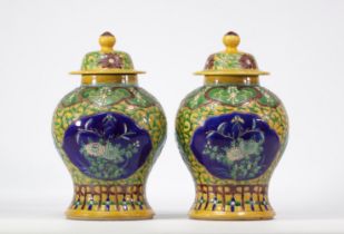 Pair of covered jugs decorated in relief with flowers, Kanxi apocrite mark