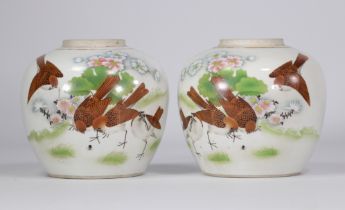 (2) Pair of famille rose pots decorated with brown birds, flowers and calligraphy on a white backgro