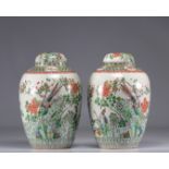 (2) Pair of vases covered with Famille verte and decorated with birds from 19th century