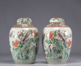 (2) Pair of vases covered with Famille verte and decorated with birds from 19th century