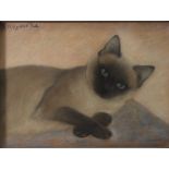 Edmond HOYOIS (1882-1981) pastel on paper "the cat"