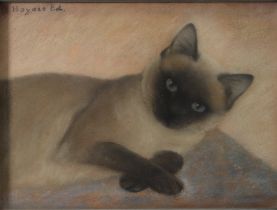 Edmond HOYOIS (1882-1981) pastel on paper "the cat"