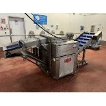 Schroder, Mac Max 500 roller tenderiser and slat bed elevating conveyor