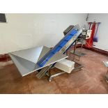 Jay Craft Food Machinery, slatted variable speed elevating conveyor with hopper, Serial No. WB015 (