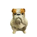 Royal Doulton British Bulldog figure with Royal Doulton Made in England stamp to base.