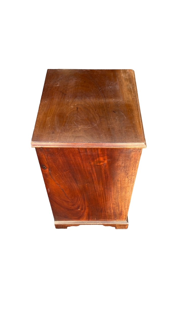 19th Century mahogany 2-drawer bedside cupboard/table, width 47cm, height 69cm, depth 40cm. - Image 2 of 10