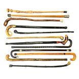 Collection of twelve walking sticks, one with white metal band and tip, one topped with white metal,