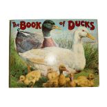 The Book of Ducks in very good condition.