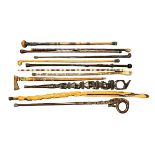 Collection of twelve walking sticks, several with interesting carvings including an owl, African