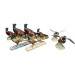 Beswick, collection of eight ceramic Pheasant figures to include; Beswick Pheasant 1225 (x2),