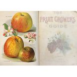 WRIGHT, JOHN. ‘The Fruit Grower’s Guide’ by John Wright with Illustrations, J. S. Virtue & Co Ltd [