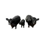 Beswick, Beswick Aberdeen Angus Family comprising Beswick Aberdeen Angus Bull 1562, Beswick Aberdeen