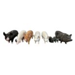Beswick, group of Pig figurines to include; Beswick Berkshire Boar, Beswick ‘CH Wall Boy’ & ‘CH Wall