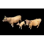 Beswick, a Beswick Jersey Cow family, including; Beswick Jersey Cow Bull (CH. Dunsley Coy Boy) 1422,