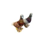 Beswick, a pair of Beswick Pigeon figurines, model no. 1383, in two different colour variations,